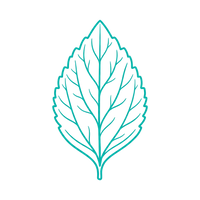 Organic Stevia Reb M ingredient icon