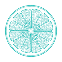 Citric Acid ingredient icon